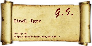 Gindl Igor névjegykártya
